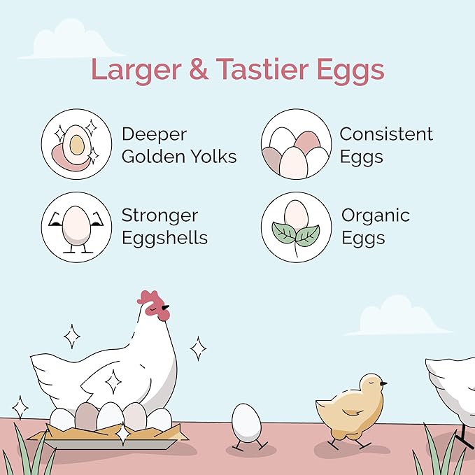 Mile Four Organic Chicken Feed – Layer Mash, Non-GMO, USA Grown, 16% Protein, Corn-Free, Soy-Free, Non-Medicated Feed for Chickens, 2 lbs Sample