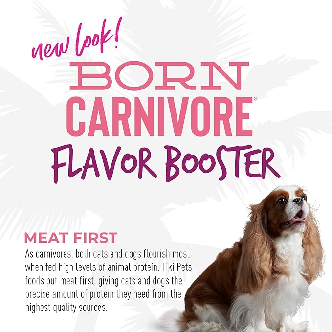 Tiki Dog Born Carnivore Dog - Dog Treats - Bisque - Salmon - 1.5 oz Pouch