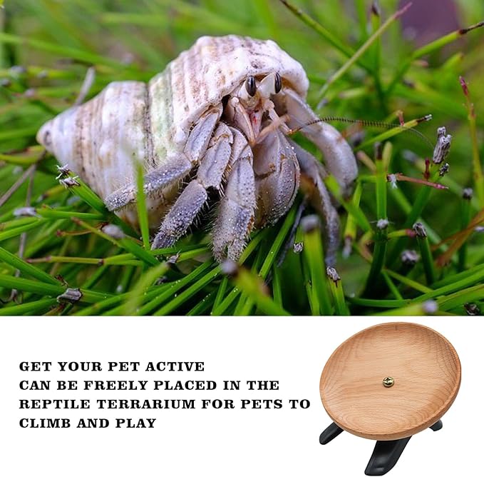 Hermit Crabs Wheel Toy, Hamster Running Wheel Toys, Small Animals Cage Accessory, Tank Accessory, Suitable for Hermit Crab Hamster Rat