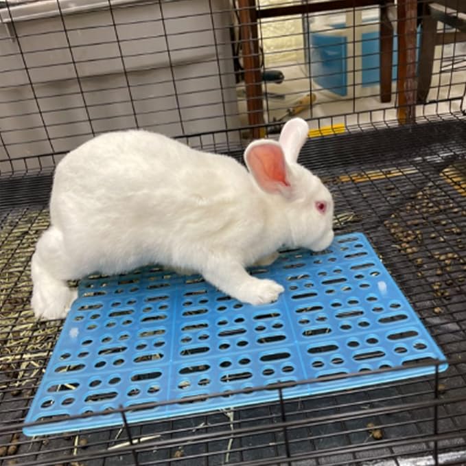Hamiledyi 4 Piece Rabbit Feet Pad 13.4×9.8x0.4'' Hole Leak Water Design for Plastic Bunny Feet Pad Playpen Feet Mats Plastic Rabbit Cage Mat for Guinea Pig Hamster Chinchilla Ferret