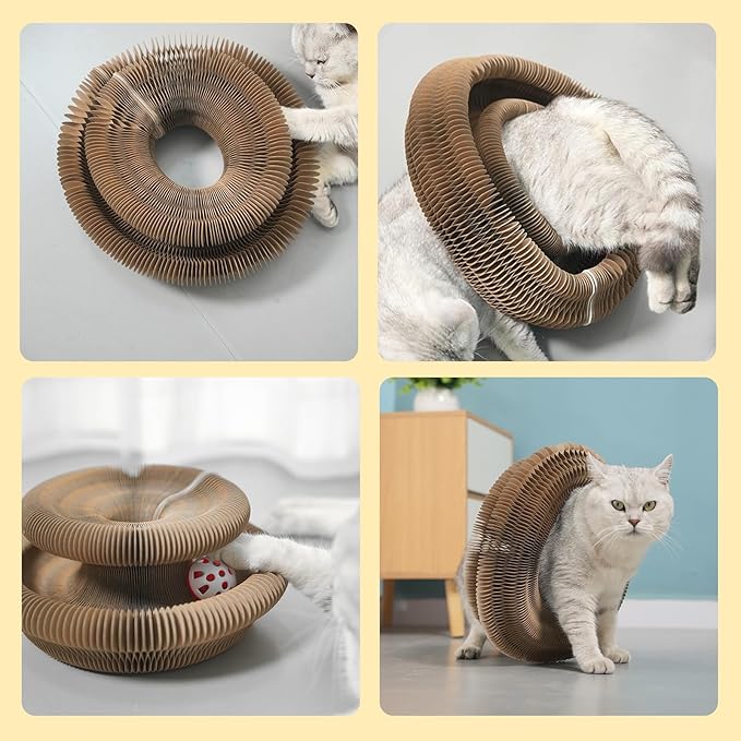 3PC Kitty Curls Cat Toy,Magic Organ Cat Toy,Cat Scratcher for Grinding Claw Cardboard Cat Toys,Interactive Scratch Pad with Toy Ball,Durable Eco-Friendly Ring for Play, Chase & Scratch
