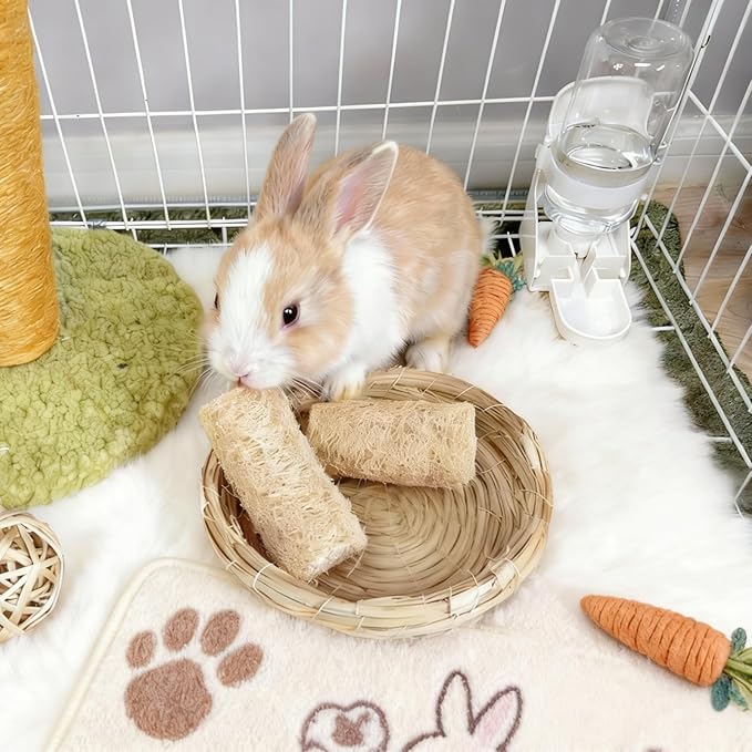 4 PCS Rabbit Chew Toys Natural Loofah Guinea Pig Treats Bunny Stuff Cage Accessories for Chinchillas Guinea Pig Rabbits (4PCS with a Rope)