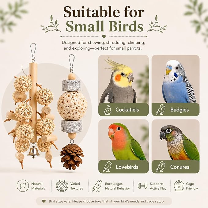 2-Pack Natural Bird Toy Set for Small to Medium Birds, Rattan Ball & Sola Hanging Toys with Pumice Stone, Enrichment Cage Accessories for Cockatiels, Budgies, Conures, Lovebirds