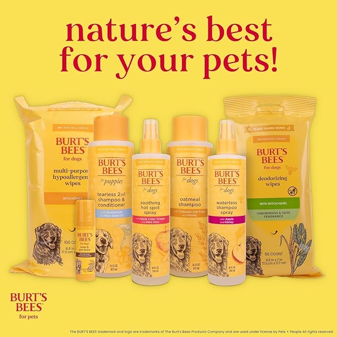 Burt's Bees for Pets Deodorizing Dog Shampoo with Apple and Rosemary, 95% Natural Origin, pH Balanced, Free of Sulfates, for Smelly Dogs, Gentle Dog Shampoo, 16 Fl Oz