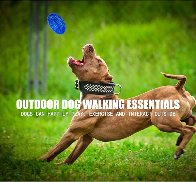 Andiker Squeaky Dog Toy, Safe TPR Chewable Dog Toys for Teeth Grinding&Cleaning Dog Fetch Toys for Enhancing Interactivity Outdoor Suitable for All Dog Sizes Puppy’s Gifts and Dog Lovers (Small)