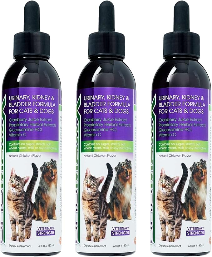 UroMAXX, Cat & Dog Urinary Tract Treatment, Bladder & Kidney Support for Dogs and Cats, Powerful Yet Gentle Pet Care, with Liquid Cranberry & Glucosamine, Chicken Flavor, 6 oz Bottle, 3 Pack