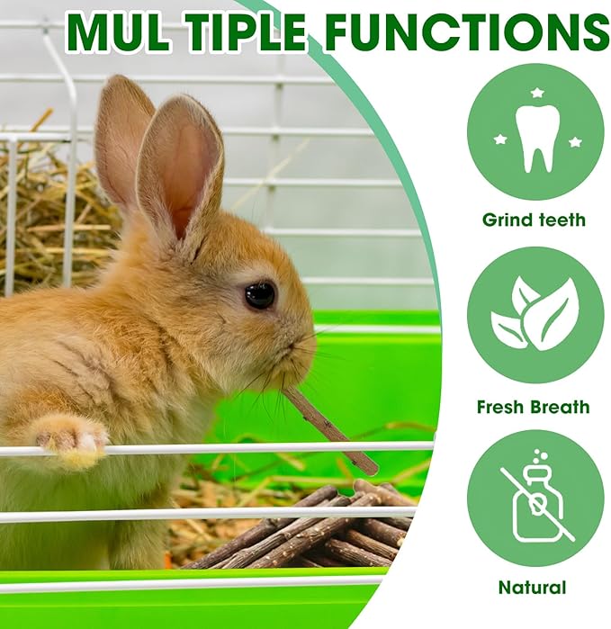 Jorewood 250g Natural Apple Wood Chew Sticks for Rabbits, Hamsters, Chinchillas - Extra Hard Teeth Grinding Toy | Untreated, Safe & Long-Lasting Rodent Chews