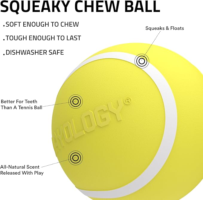 Playology Dog Toys | Squeaky Chew Ball for Large Dogs | Chicken Scented Jumbo Dog Ball | Bouncy Floating Chew Toys for Fetch