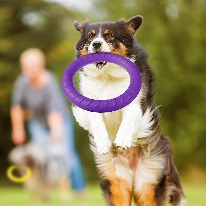 Jenaai 4 Pack Dog Ring Toy Dog Training Chew Toy for Outdoor Aggressive Durable Pet Chewers Floating Toys Puppy Ring for Large Medium Puppy Training (Multicolored,7.48 Inch)