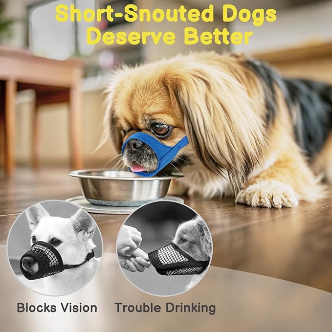 Mayerzon Short Snout Dog Muzzle for Small Medium Dogs, Soft & Sturdy Fabric, Anti Excessive Biting Chewing, Suits Schnauzer Bully Boxer Puppy for Grooming Vet Visits Walk, Allows Drinking(Blue, M)