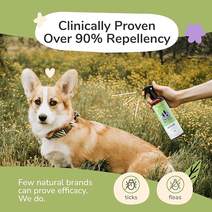 kin+kind Dog Shampoo Flea and Tick Vet Formulated - Natural Flea and Tick Prevention for Dogs - Plant Powered Shampoo w/Coconut & Olive Oil - Dog Supplies - Lavender Scent - Made in USA 12 fl oz
