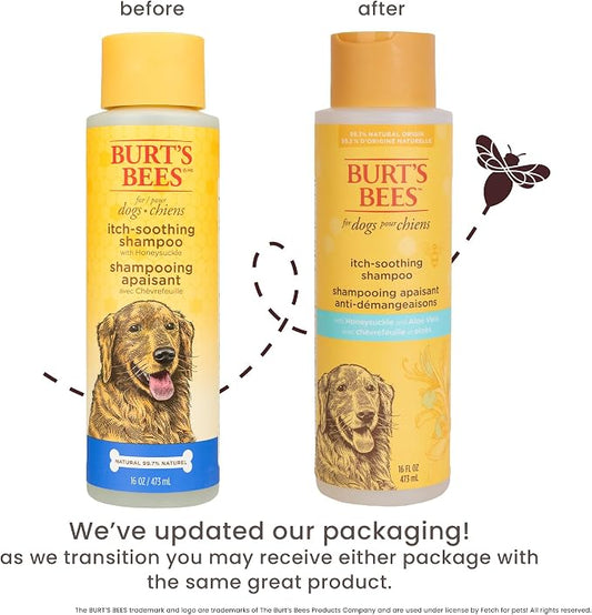 Burt's Bees for Pets Itch Soothing Shampoo with Honeysuckle, 95% Natural Origin, Dog Shampoo for Itchy Skin Relief, pH Balanced, Free of Sulfates and Parabens, 16 Fl Oz