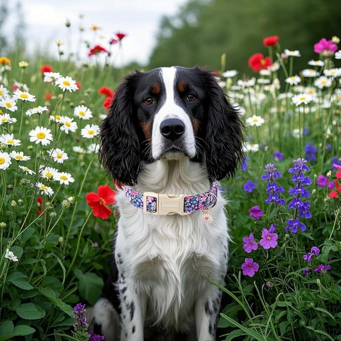 Lionet Paws Floral Dog Collar- Cute Spring Wildflowers Daisy Fleabane Dog Collars with Plastic Buckle, Light Adjustable Dog Collars for Medium Dogs