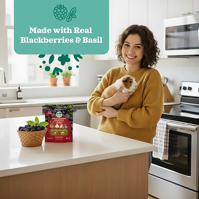 Oxbow Simple Rewards BlackBerry & Basil Treats, Great as Chinchilla, Hamster, Rodent, Guinea Pig & Rabbit Treats, Small Pet Snack, Made Timothy Hay, Made in USA, 3 oz (Pack of 2)