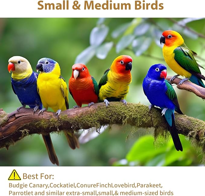 16 Pack Natural Balsa Wood Bird Chew Toys - World's Softest Wood, Safe Chewing Toys for Parakeets, Cockatiels, Lovebirds & Small Medium Birds. (Large)