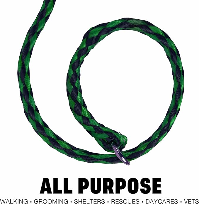 Downtown Pet Supply Braided Poly Slip Lead Dog Leash, 24 Pack, 5' Long - Universal Dog Slip Leash with Metal O Ring - Durable for Groomers, Shelters, Rescues, Vets, or Doggy Daycares