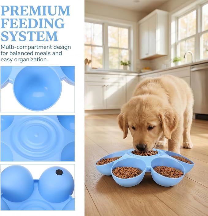 POPETPOP Cat Food Bowl with 6 Bowls - Pet Feeder for Multi Cat Kitten Puppy | Non-Toxic Plastic Multi Cat Dishes with Stable Base, Multiple Dinner Feeder for Outdoor Indoor Food & Water Feeding (Blue)