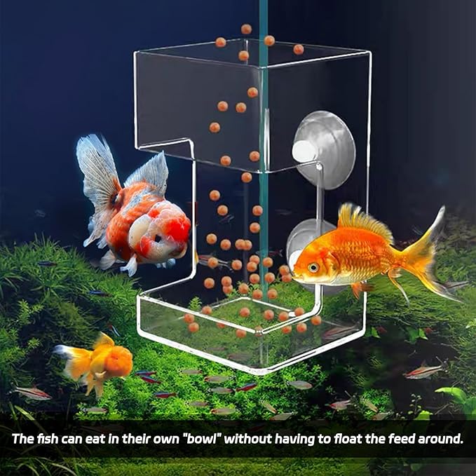 Fish Feeder,Automatic Fish Feeder,New Feeding Ring,with Suction Cups Feeding Tube Ring Accessories,Tube for All Kinds of Food Tanks Bowls Accessories(Square)