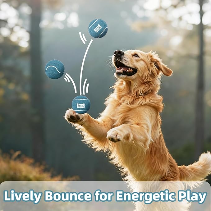 2.5" Dog Tennis Balls 6-Pack Silent Bounce, Tough Rubber Core, Durable Fetch & Training Toys for Indoor/Outdoor Play, for Small Medium Large Dogs (Prussian Blue, 6 Pack)