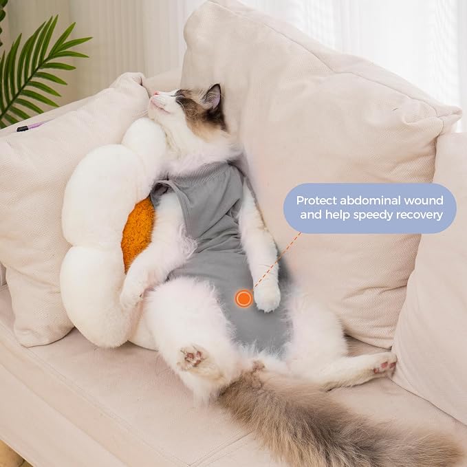 Avont Cat Recovery Sui,Post-Surgery Protective Vest Grey L | Breathable & comfortable cat onesie for cats after surgery female. Soft alternative to cone. Machine washable