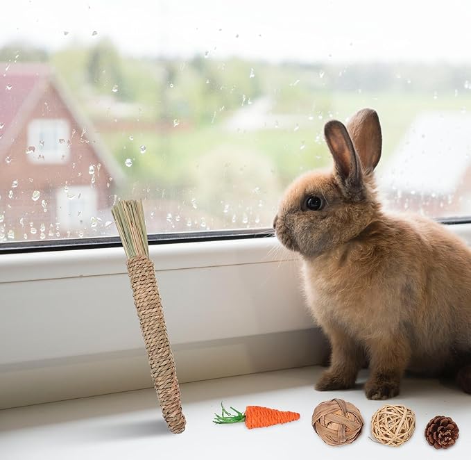 Beaupretty 9pcs Rabbit and Hamster Chew Set for Teeth Cleaning, Natural Wood Molar, Small Animal Dental Care Accessories for Bunnies, Guinea Pigs, and Chinchillas