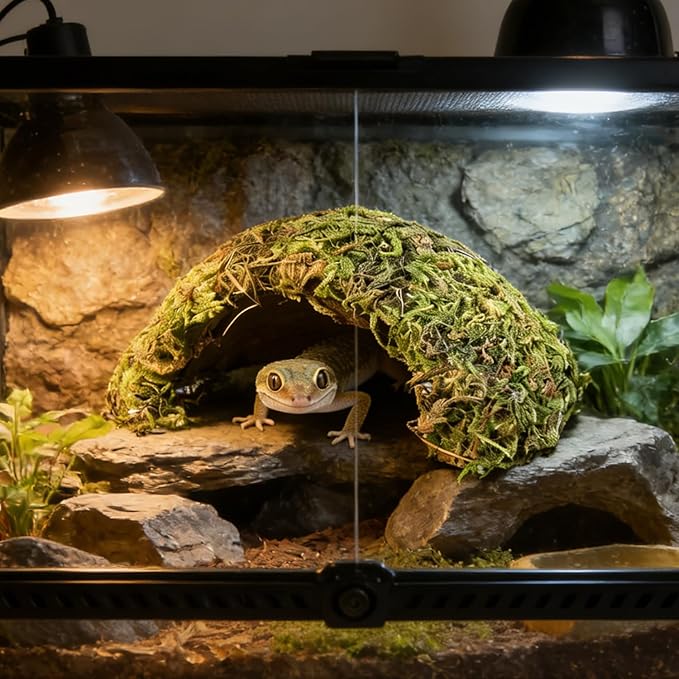 Reptile Hide Coconut Leopard Gecko Hide Humid Crested Gecko Tank Accessories Natural Moss Snake Hideouts for Ball Python, Bearded Dragon,Tortoise,Frog