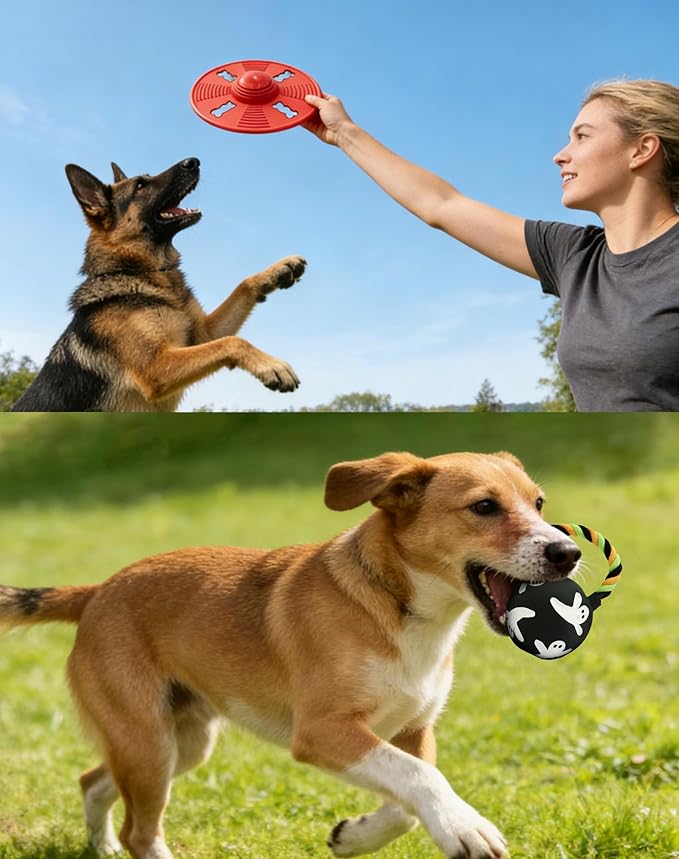 Deeow Alieen Dog Frisbee for Fetch, Teething Clean Outdoor Flying Disc, Interactive Squeaky Dogs Toy for Outdoor Pool, Park, Beach, Bye one get one Gift Black Jack-o-Lantern/Halloween Pumpkin Pet Toy