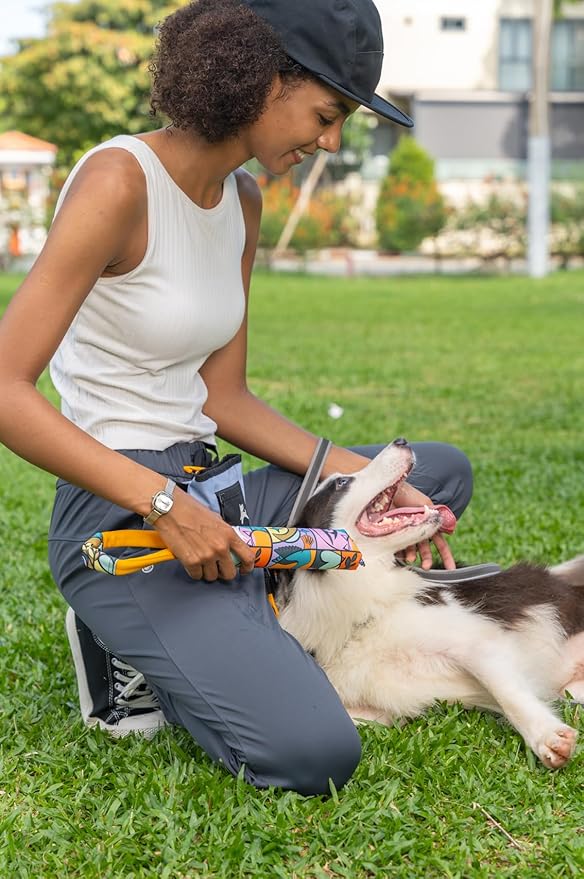 OllyDog Tugger | Durable Dog Tug Toy | Recycled | Tough Dog Bite Pillow | Handle | Interactive Pull Toy | Fetch & Training (Cloud9)