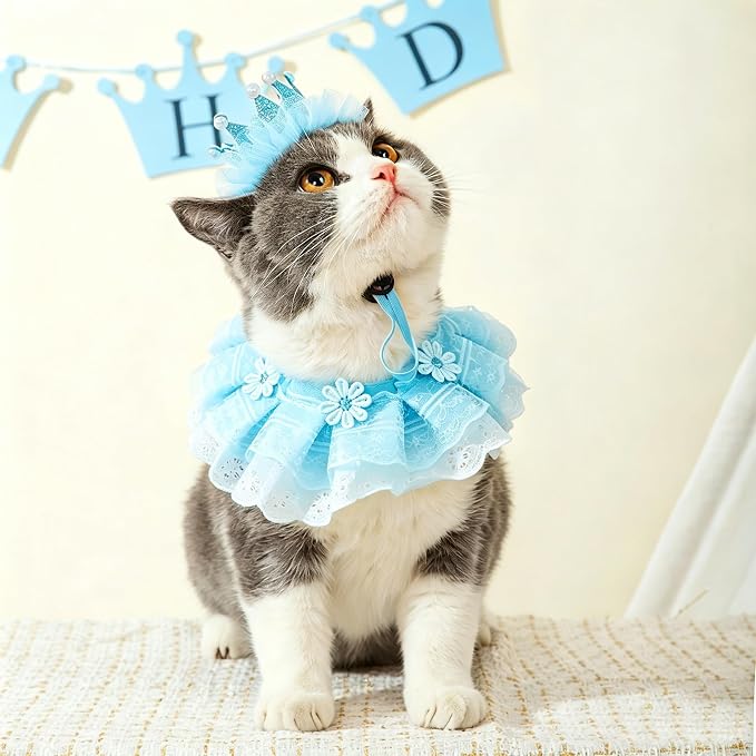 Cat Princess Costumes Cat Crown Hat & Lace Bandana Scarf Set, Puppy Party Hat for Small Dogs & Cats, Lace Outfit for Cats and Small Dogs Birthday Party (Blue)