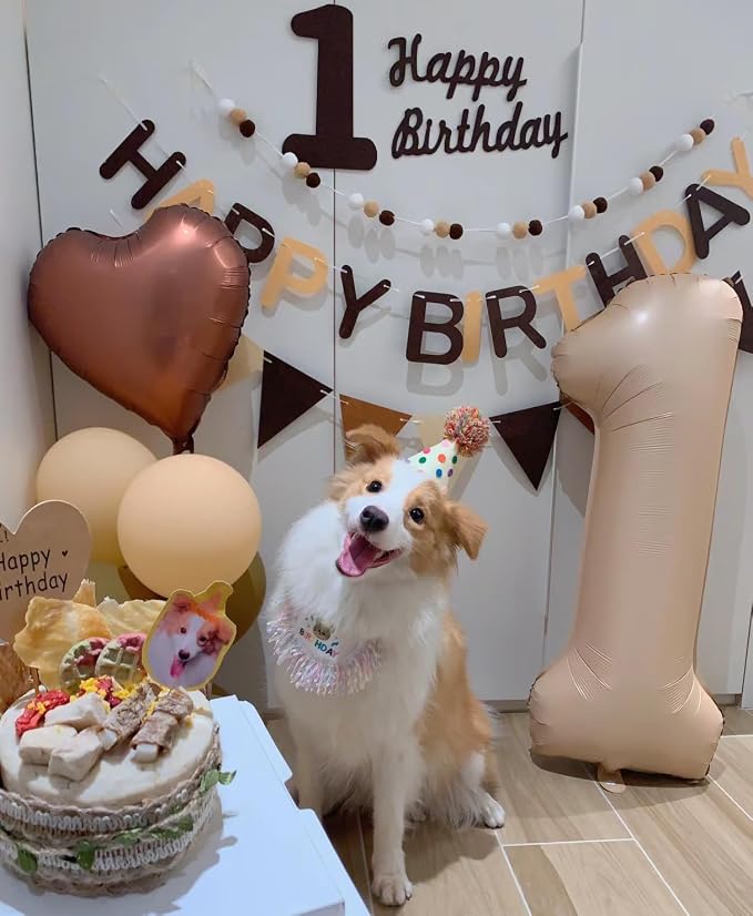Dog Princess Costumes Puppy Birthday Bandana Scarf and Party Hat Cute Lace Dog Bib Scarf and Birthday Hat Doggy Birthday Party Decorations Set