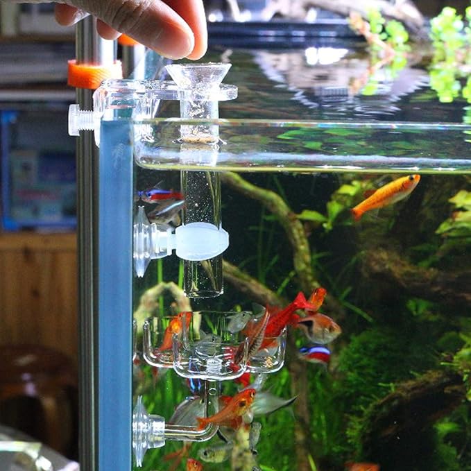 Aquarium Shrimp Small Fish Feeding Dish and Feeding Tube kit, Including Glass Feeder Tube Acrylic Feeder Dish and Holder, 3 Lengths Optional, 7.8 Inches, 11 Inches, 13.7 Inches (M-11 Inches)