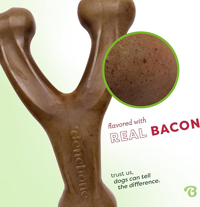 Benebone 2-Pack Wishbone Durable Dog Chew Toy for Aggressive Chewers, Real Bacon Made in USA, Medium