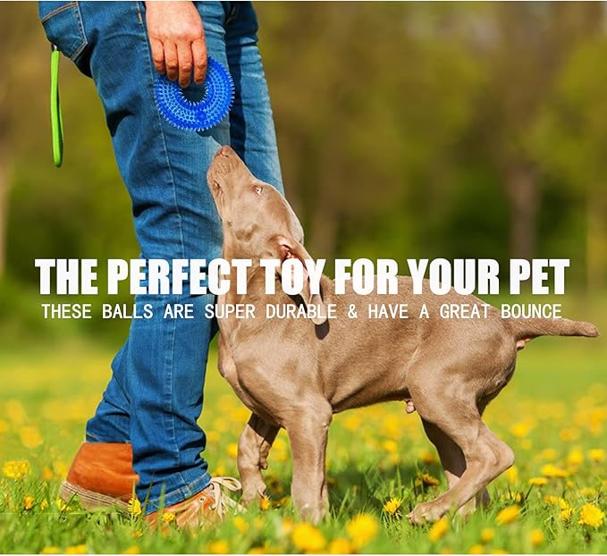 Andiker Squeaky Dog Toy, Safe TPR Chewable Dog Toys for Teeth Grinding&Cleaning Dog Fetch Toys for Enhancing Interactivity Outdoor Suitable for All Dog Sizes Puppy’s Gifts and Dog Lovers (Small)