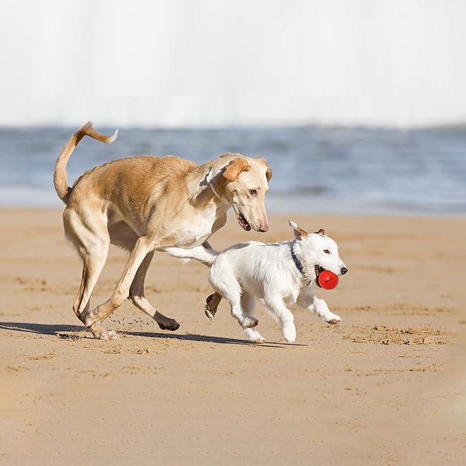 Dog Balls Indestructible,Solid Rubber Bouncy for Dogs Aggressive Chewers Small Breed,Non-Toxic&Floating&High Elasticity,Durable Fetch Ball Small to Chew,Play and Training