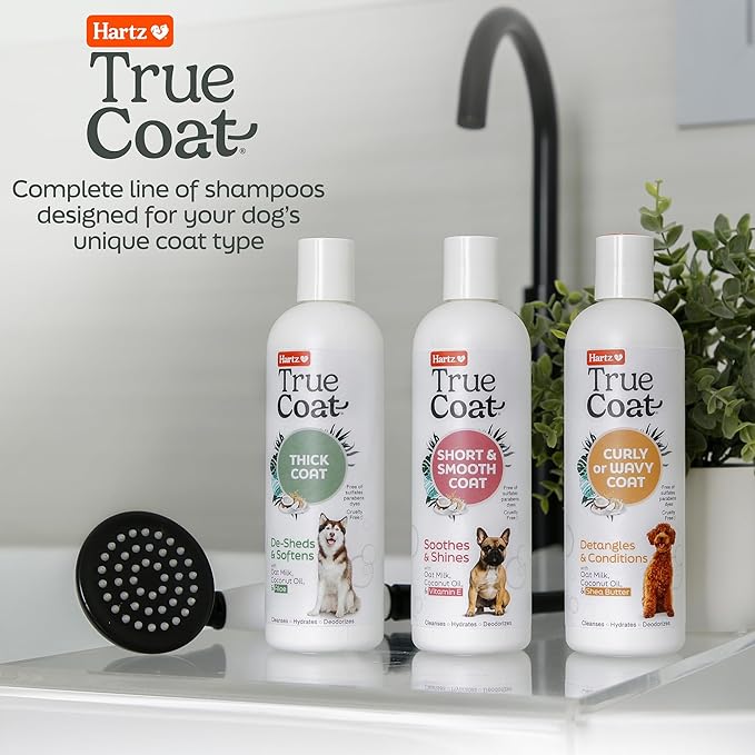 True Coat Curly or Wavy Dog Shampoo, 5 in 1 Detangles & Conditions with Oat Milk, Coconut Oil & Shea Butter, 16 oz