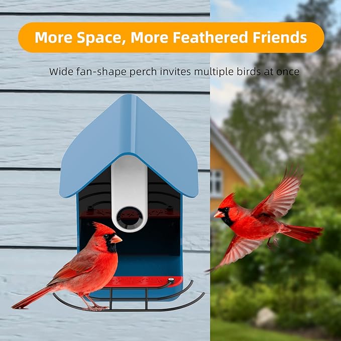 Metal Perch Extender Designed for Bird Buddy Pro1 Smart Feeder - Add On Accessory with Screws, Fan-Shaped Design More Room for Visiting Birds to Land, Powder-Coated, Black