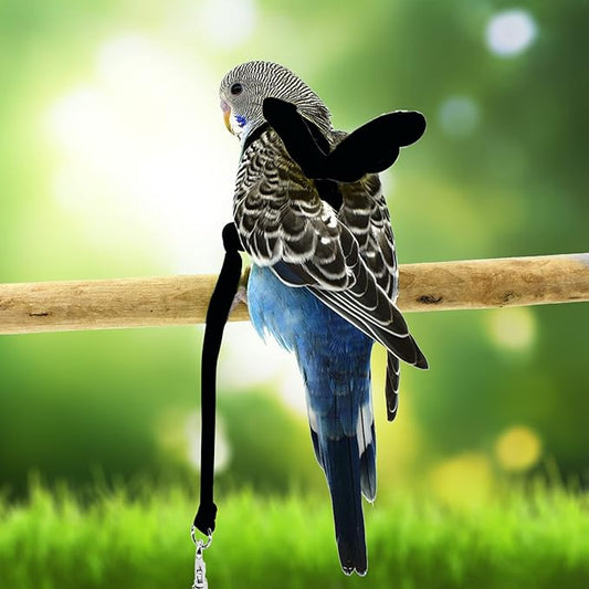 Budgerigar Harness and Leash, Adjustable Parrot Bird Training Design Anti-Bite, Bird Nylon Rope with Cute Wing for Budgerigar and Same Size Birds (S, Black)