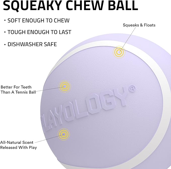 Playology Dog Toys | Squeaky Chew Ball for Dogs | Lamb Scented Medium Dog Ball | Bouncy Floating Chew Toys for Fetch