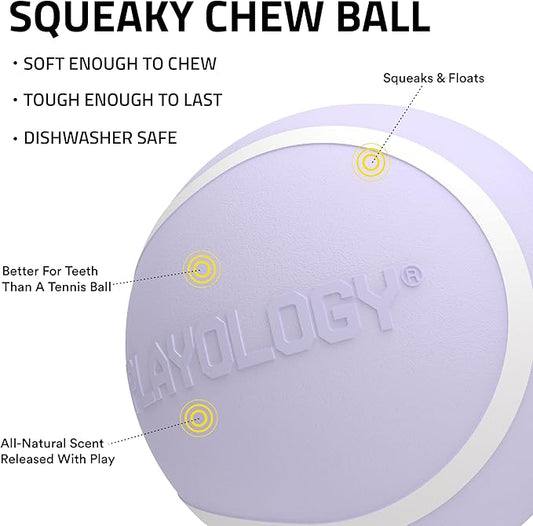Playology Dog Toys | Squeaky Chew Ball for Dogs | Lamb Scented Medium Dog Ball | Bouncy Floating Chew Toys for Fetch