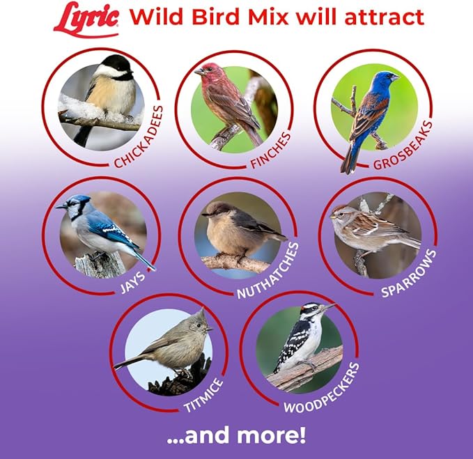 Lyric Wild Bird Mix - Includes Corn, Nuts, and Wild Bird Seed for Outside Feeders, Attracts Doves, Jays and Many More, 20 lb Bag
