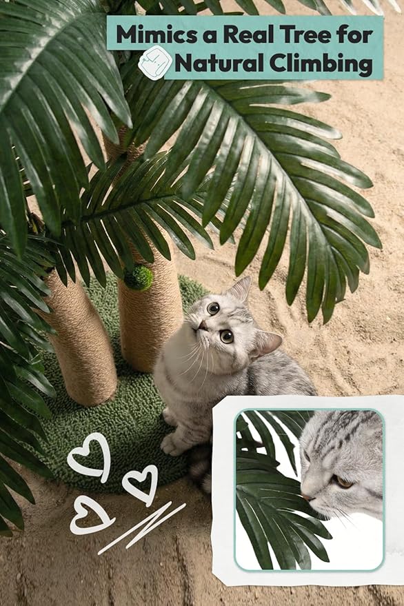 33" Tall Cat Scratching Post, Natural Jute Cat Scratcher for Indoor Cats, Double Coconut Tree Design with Hanging Toy Ball & Rest Platform,Stable Furniture Protector for Kittens & Adult Cats,M