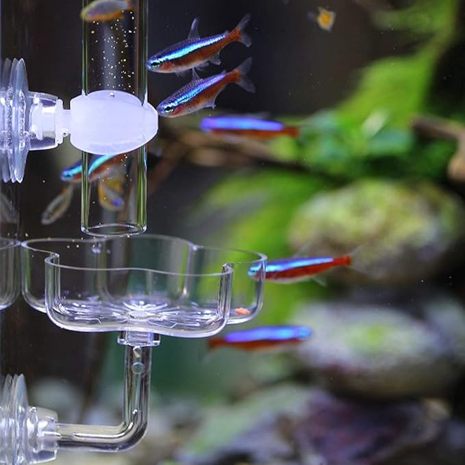 Aquarium Shrimp Small Fish Feeding Dish and Feeding Tube kit, Including Glass Feeder Tube Acrylic Feeder Dish and Holder, 3 Lengths Optional, 7.8 Inches, 11 Inches, 13.7 Inches (M-11 Inches)