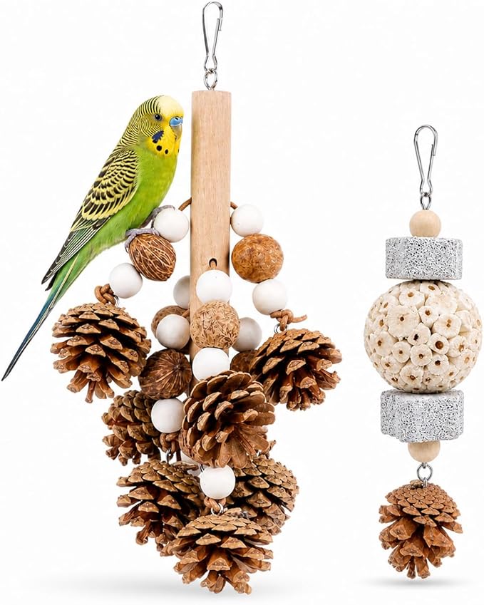 2 Pack Natural Bird Toys for Parakeets & Cockatiels, Pinecone Chew Swing and Sola Ball Hanging Toy, Shredding & Foraging Cage Accessories for Budgies, Conures, Lovebirds