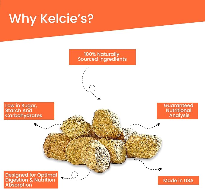 Kelcies Pumpkin Spice Horses Treats - Low Sugar, Starch, and Carbohydrates | Healthy Treats for Horse Supports Superior Digestion 5 Pound (1 Pack)