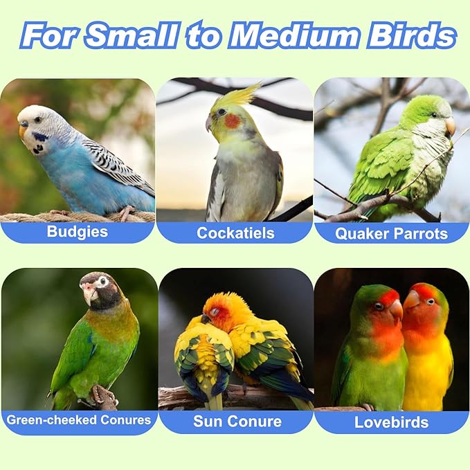 Dual-Layer Bird Swing Perch with Bells Rainbow Cotton Rope Cage Parrots Toys for Parakeet Conure Cockatiel Mynah Love Birds Finches