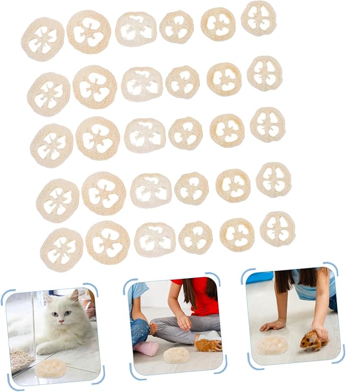 Abaodam 40pcs Natural Loofah Slices Pet Chew for Small Animals Hamster Bunny Chinchilla Gerbil Rabbit Oral Care Teeth Cleaning Molar Treats