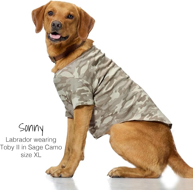 Pet Passion Toby II - The Perfect Tee, 3 Pack Short Sleeve Pet T-Shirt 100% Organic Cotton Tees Clothes for Small, Medium, Large Dogs, Sage Camo, XX-Small (4-7 lbs)
