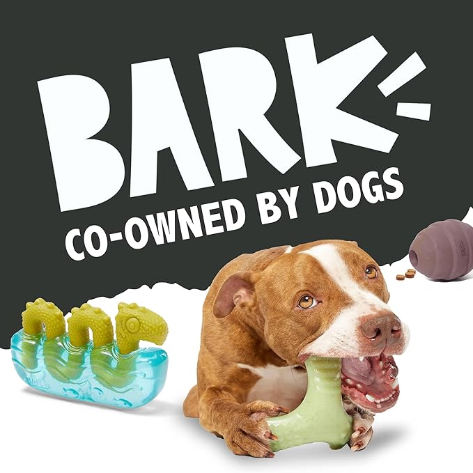 Barkbox Crocness Monster Dog Toy for Medium Dogs – Beef-Scented, Perfect for Tough Chewers to Grab, Grip, and Chew for Endless Fun