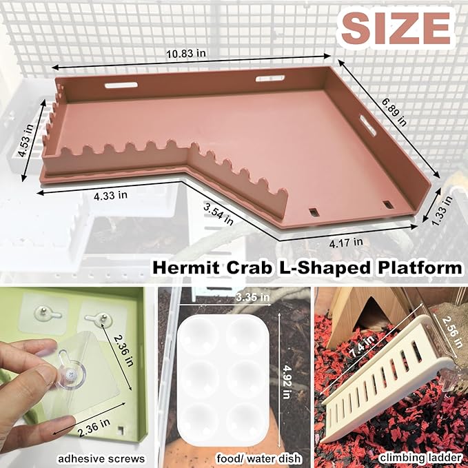 Hermit Crab Accessories - Platform with Ladder and Food Dish, Hermit Crab Climbing Toys, Habitat Supplies and Tank Accessories for Reptiles, Hamsters, Geckos, Small Lizards