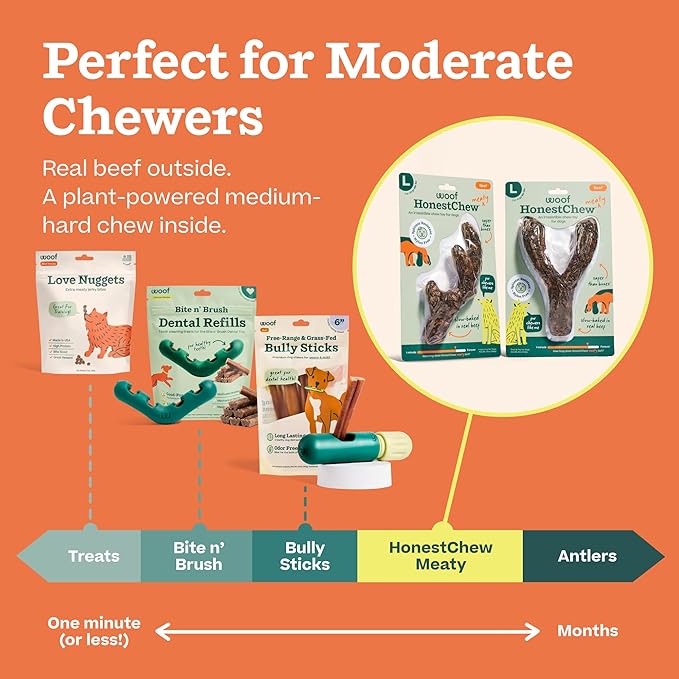 WOOF HonestChew Meaty Dog Toy Y-Gnawt - Durable Dog Chews - Made with Real Beef and Natural, Plant-Based Ingredients - Splinter-Resistant - Safer Than Dog Bones - Small